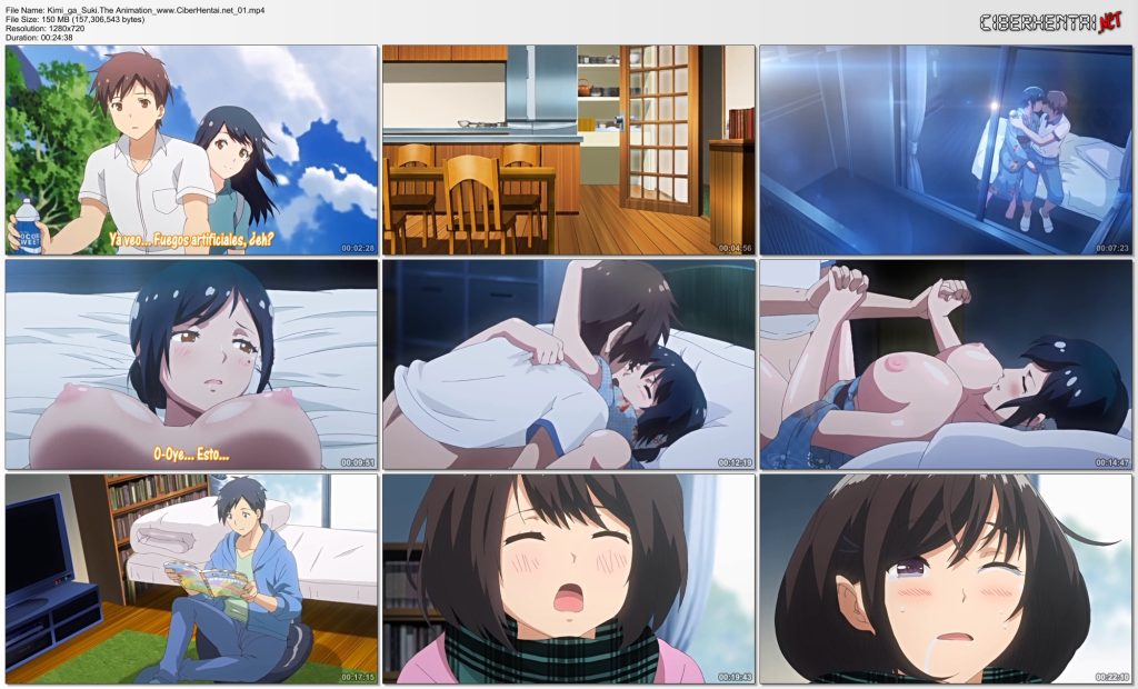 Kimi ga Suki. The Animation